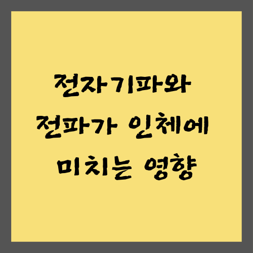 전자기파와 전파가 인체에 미치는 영향