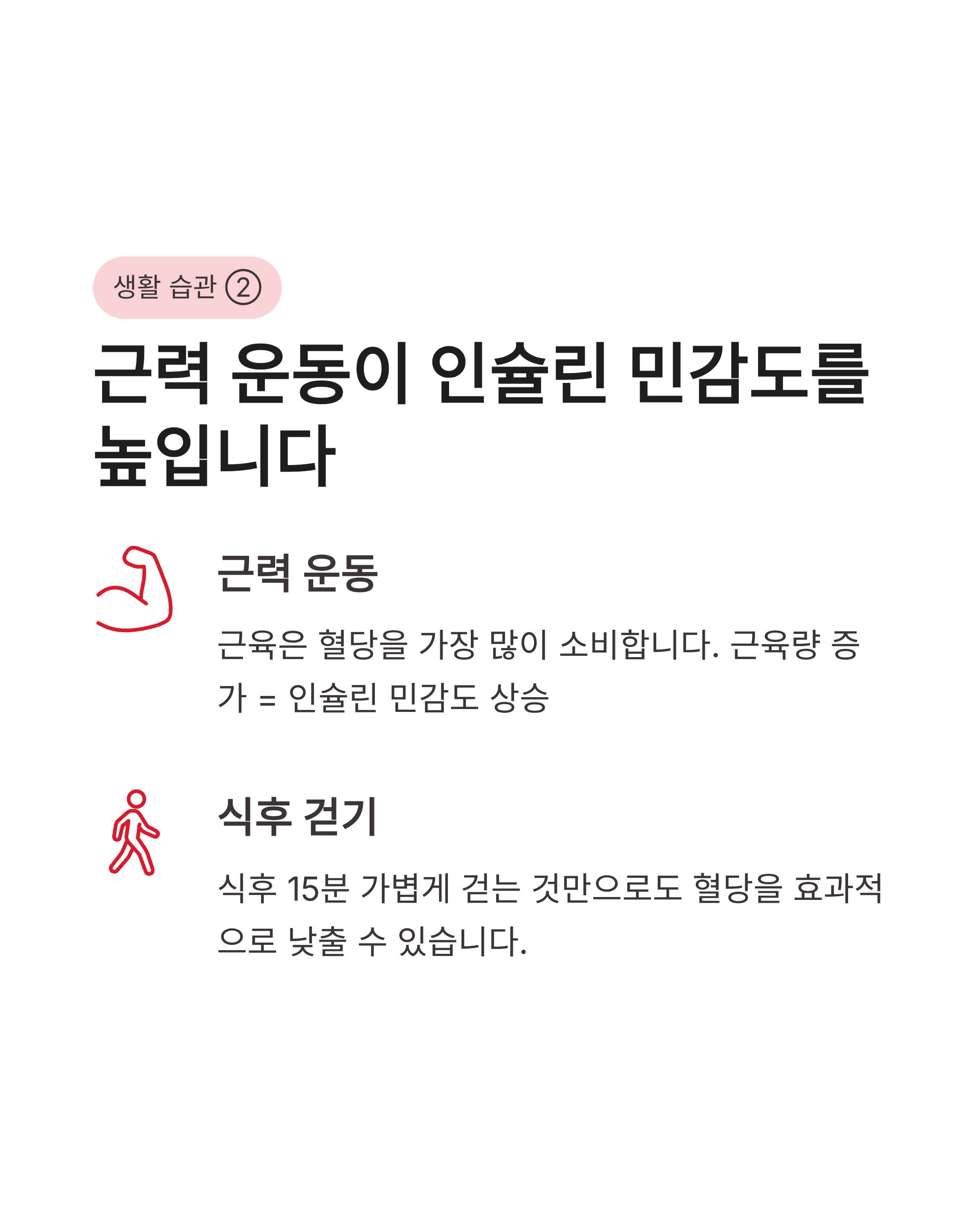 인슐린 저항성과 다이어트와의 관계, 뱃살이 안 빠지는 진짜 이유와 해결법 총정리!