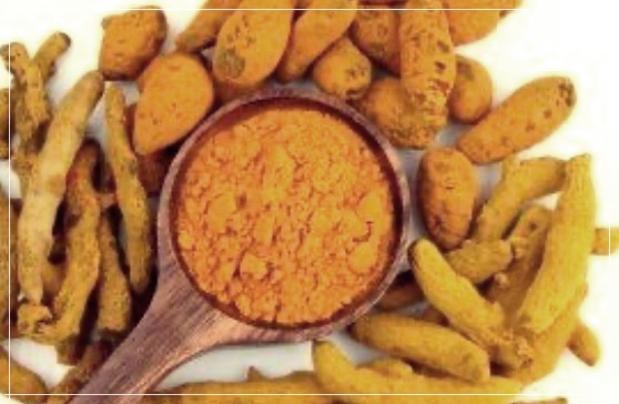 울금가루 효능, 먹는법, 보관방법 총정리