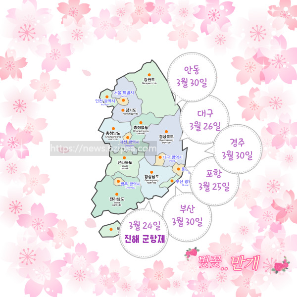 벚꽃 경상도 만개 일자