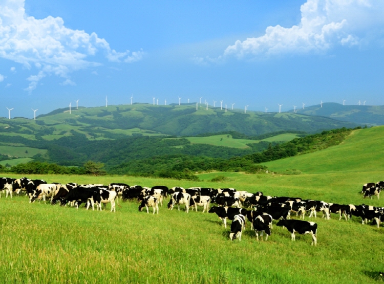 평창 가볼만한곳