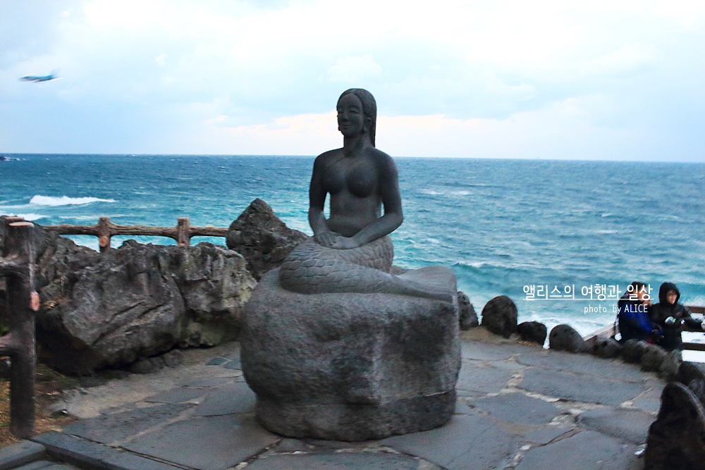 제주 앨리스 앤 트렁크 호텔 주변 제주공항 근처 가볼만한곳 BEST 10