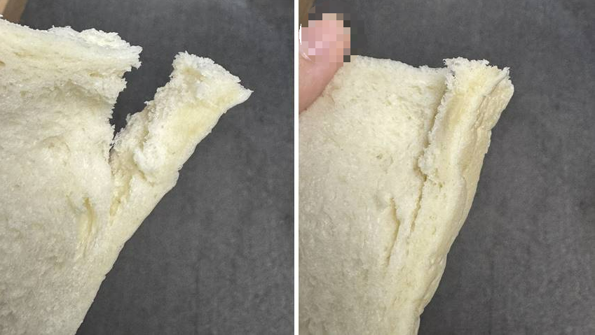 화이트리에 생식빵 끄트머리 모습