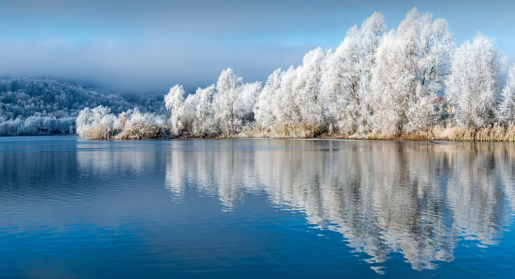 겨울 풍경의 모습