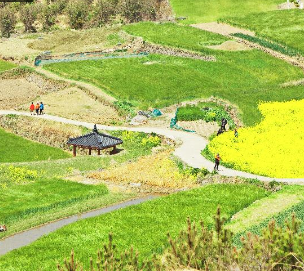 6시내고향 장어탕 완도 슬로걷기 축제
