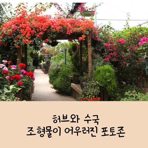 2025 포천 허브아일랜드 수국과 허브