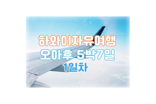 하와이1일차대표이미지