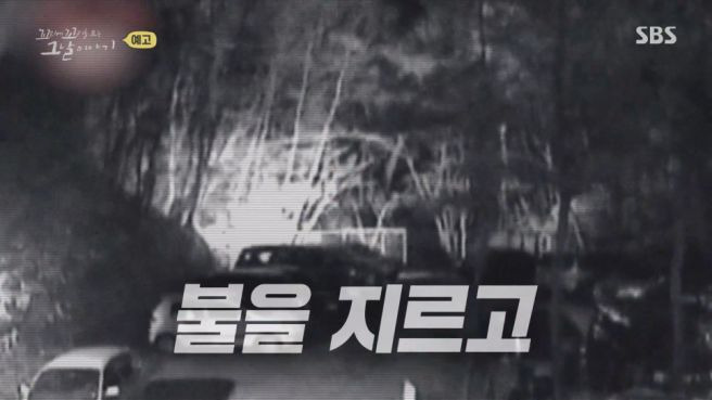 꼬꼬무 봉대산 불다람쥐