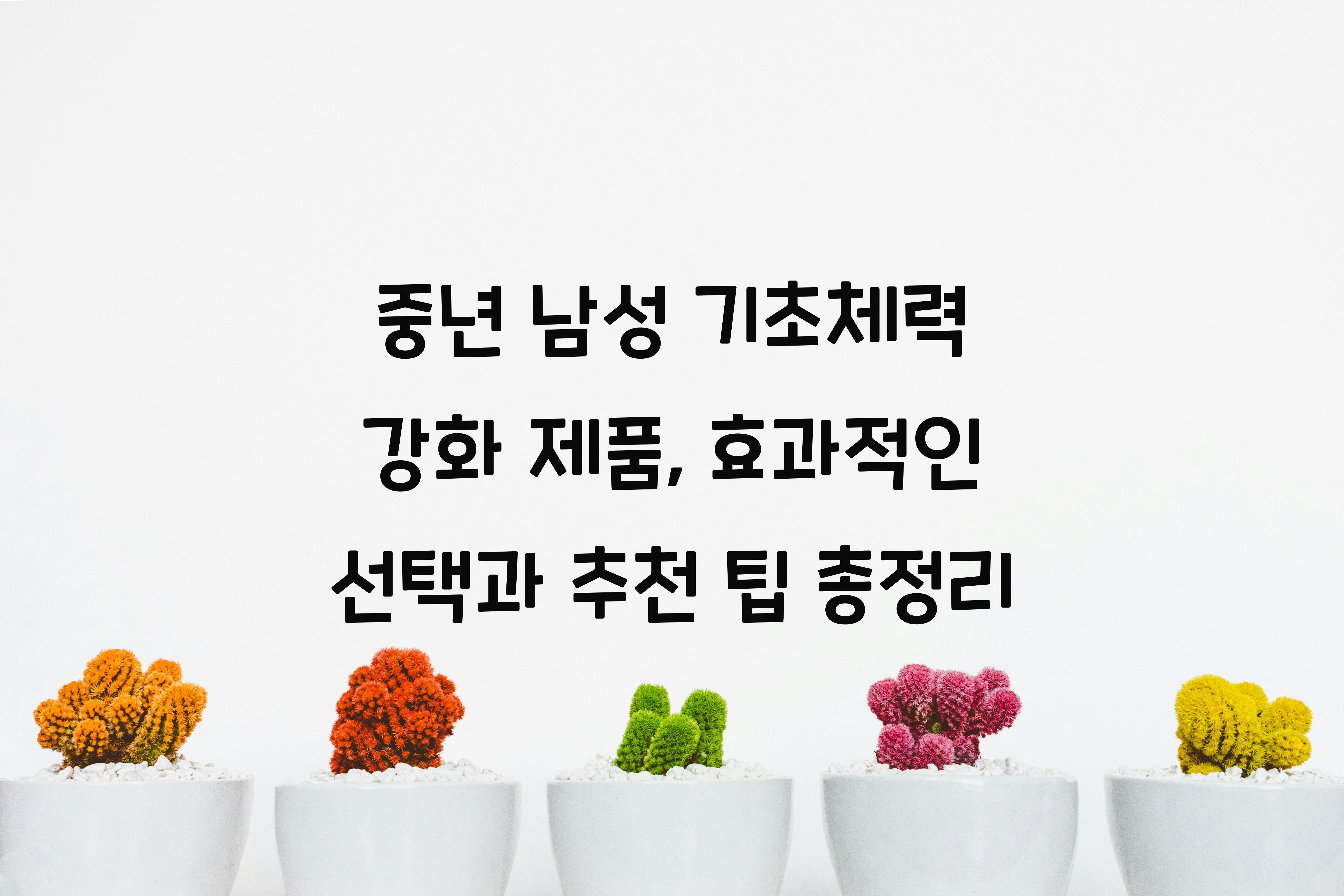 중년 남성 기초체력 강화 제품