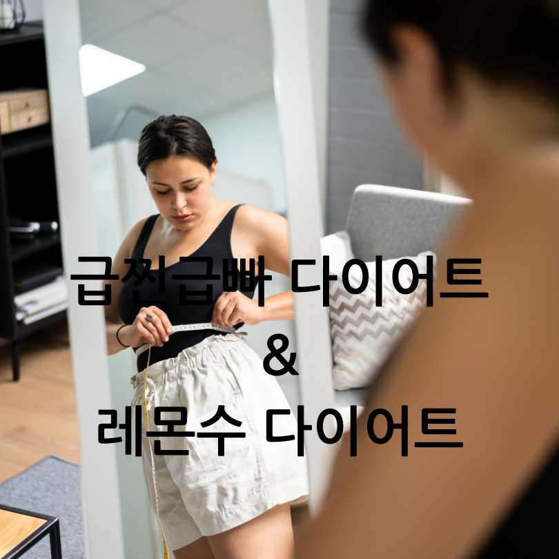 급찐급빠레몬수다이어트