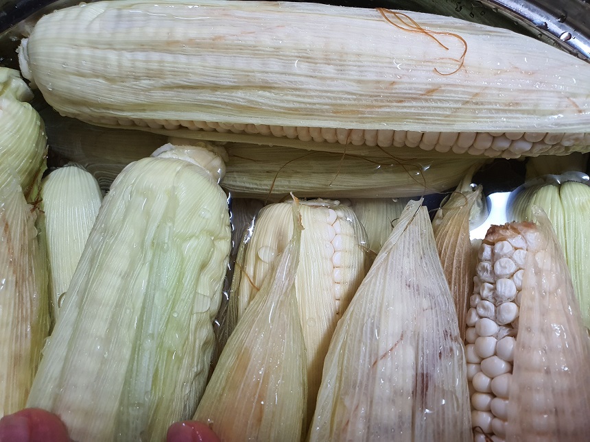 옥수수맛있게삶는법