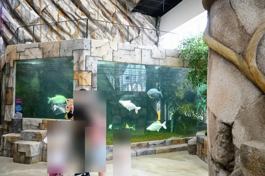 오산 버드파크 후기 사진10