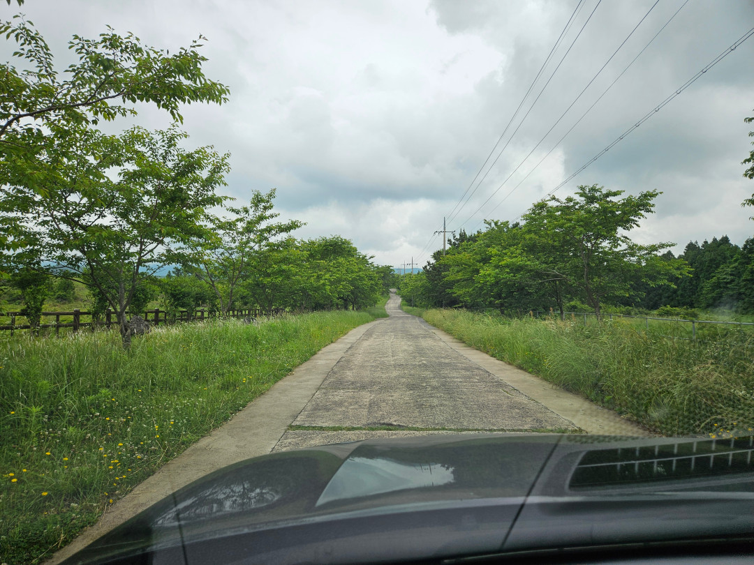 이승악 오름 가는길