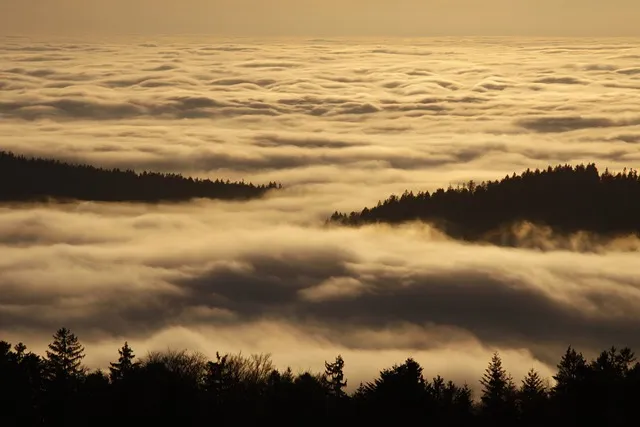 65세이상 실업급여 조건에 대한 정부 지원제도_4