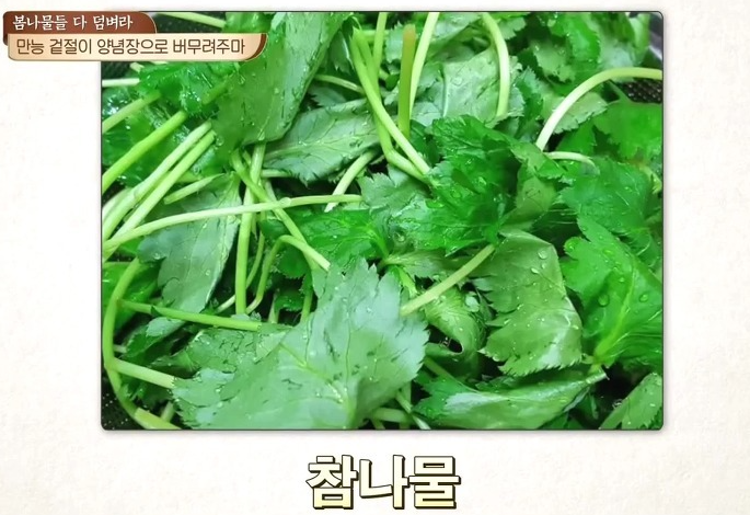 봄 제철 나물