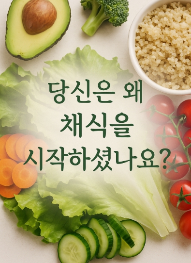 채식을 시작하게 된 계기 : 5인의 비건 인터뷰