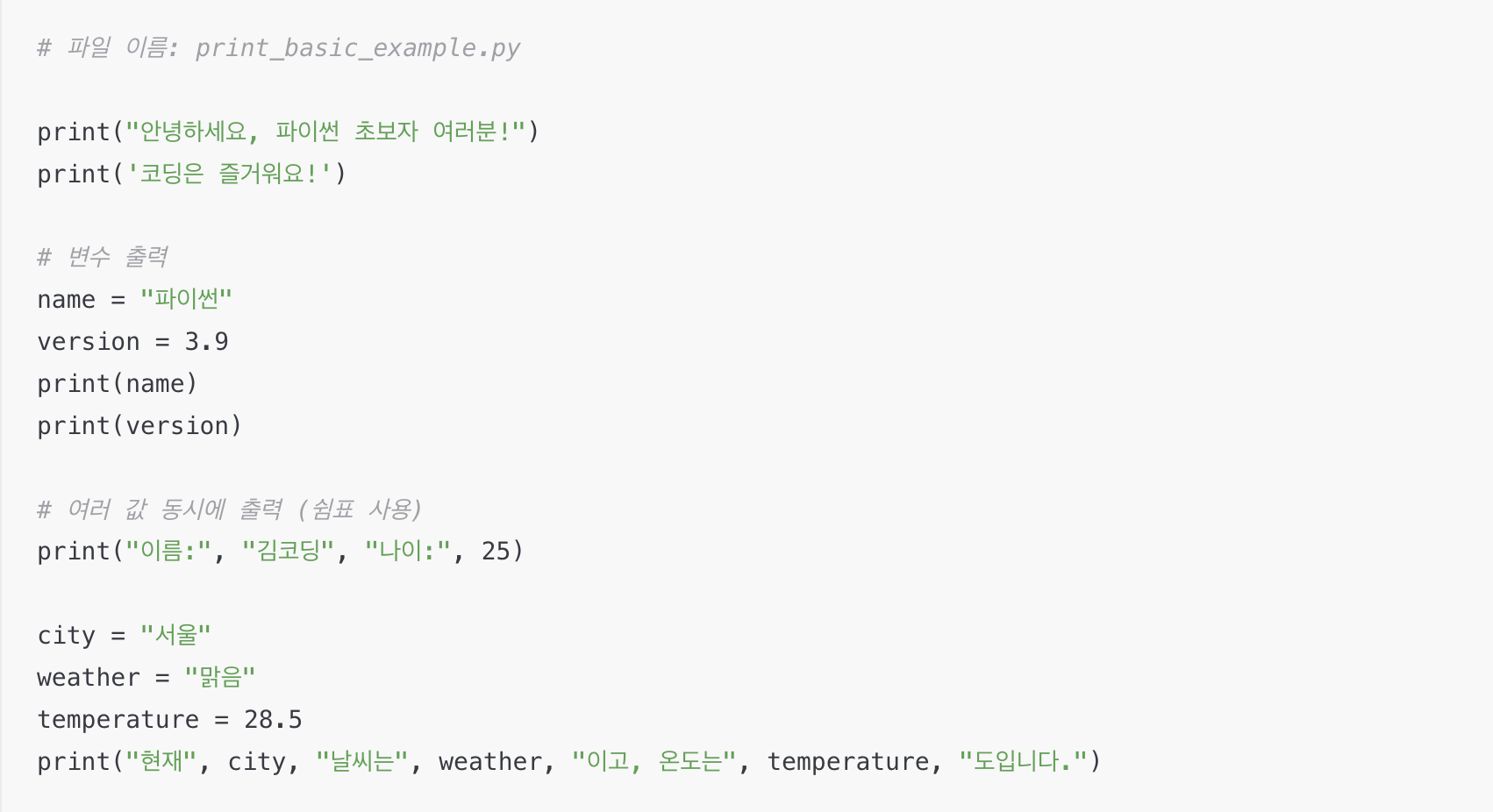 파이썬 print 예시코드