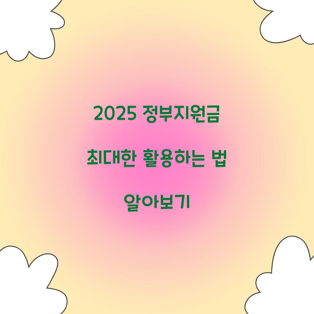 정부지원금 2025