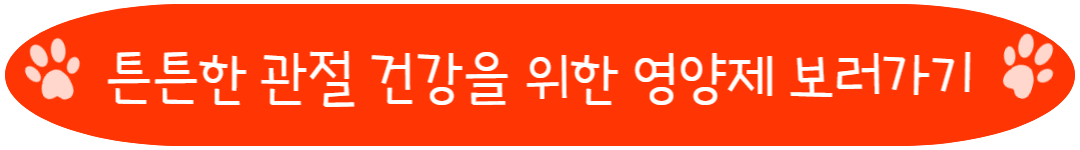 튼튼한 관절 건강을 위한 영양제