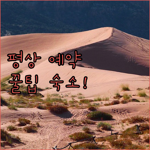 완주 고산자연휴양림 계곡 평상 예약 ..