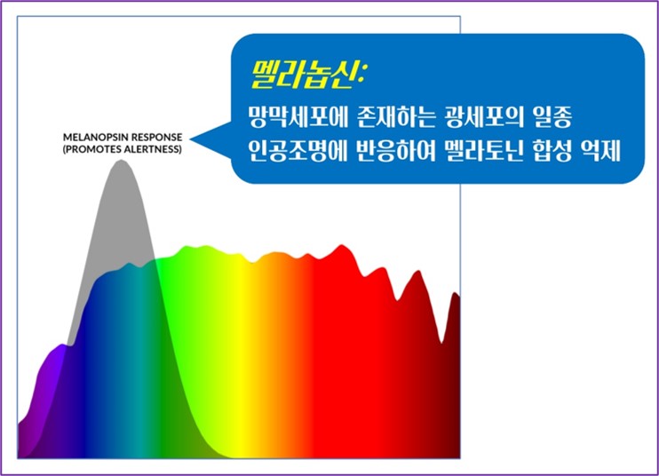 잠 수면