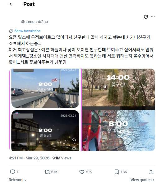 셋로그 뜻과 2026년 SNS 트렌드: 왜 Z세대는 폐쇄형 숏폼에 열광하나
