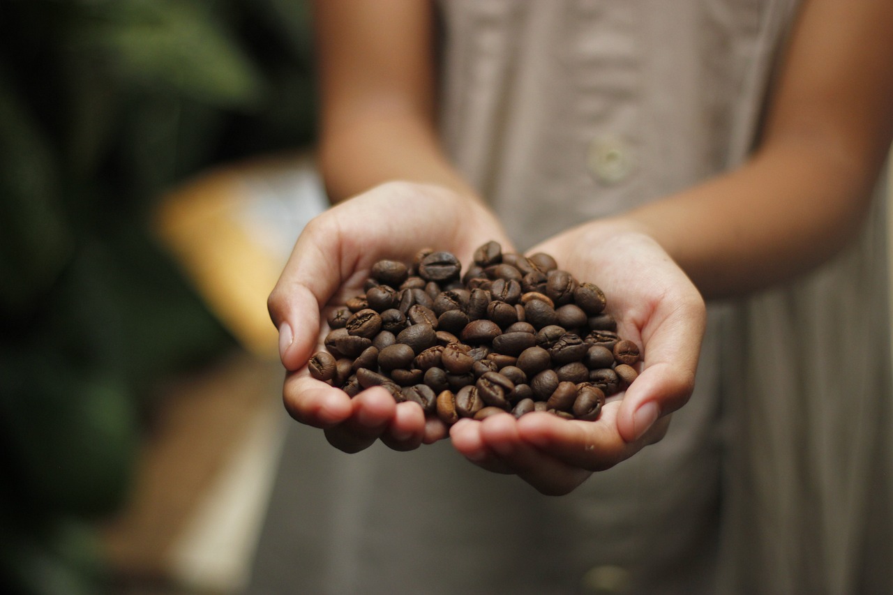 A girl holding a handful coffee beans on her two hands