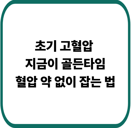 초기 고혈압 관리, 약 없이도 가능한 이유와 방법