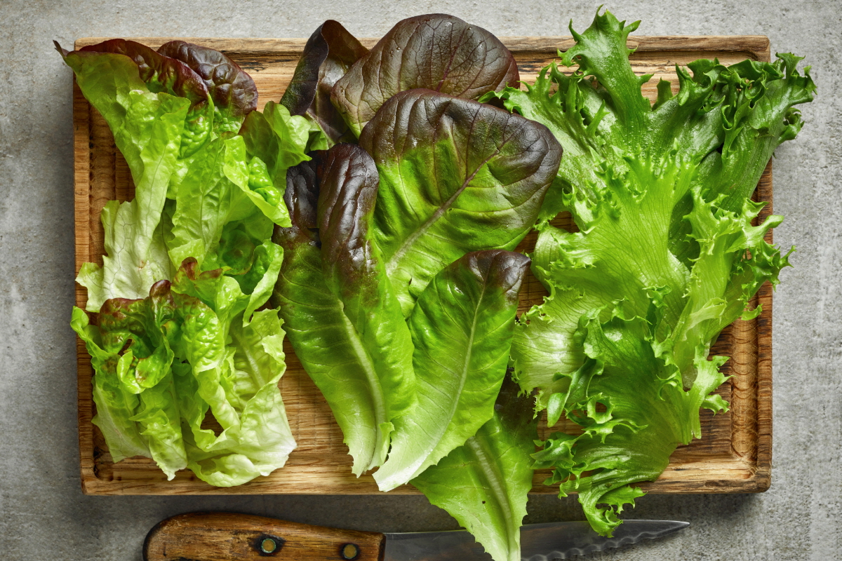 멜라토닌 많은 음식