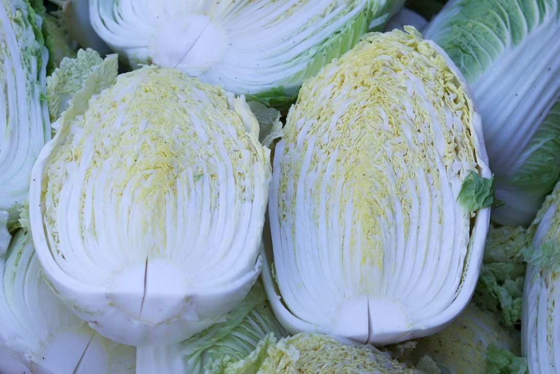 이마트 절임배추 사전예약