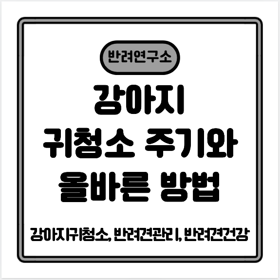 강아지 귀청소 주기와 올바른 방법🐶👂