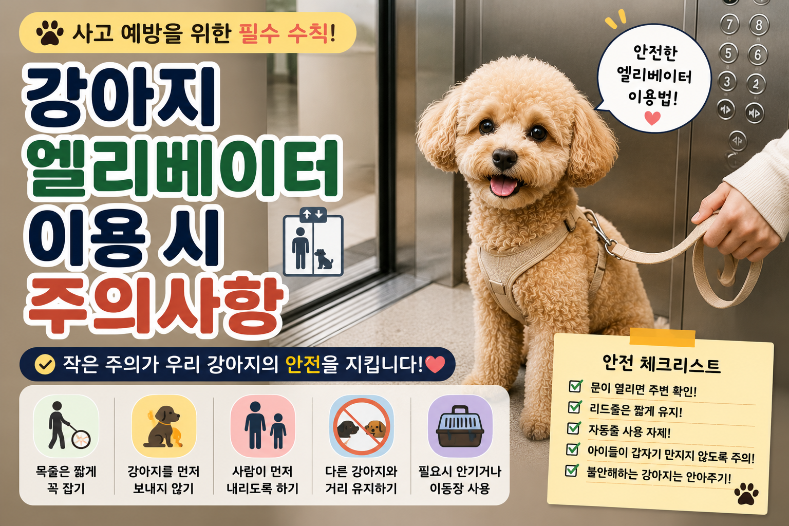 강아지 엘리베이터 이용 시 주의사항|사고를 예방하는 안전한 탑승 방법