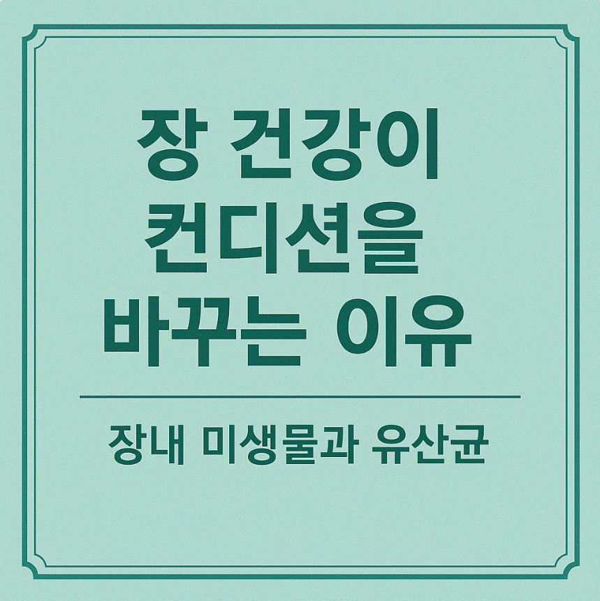장 건강 컨디션