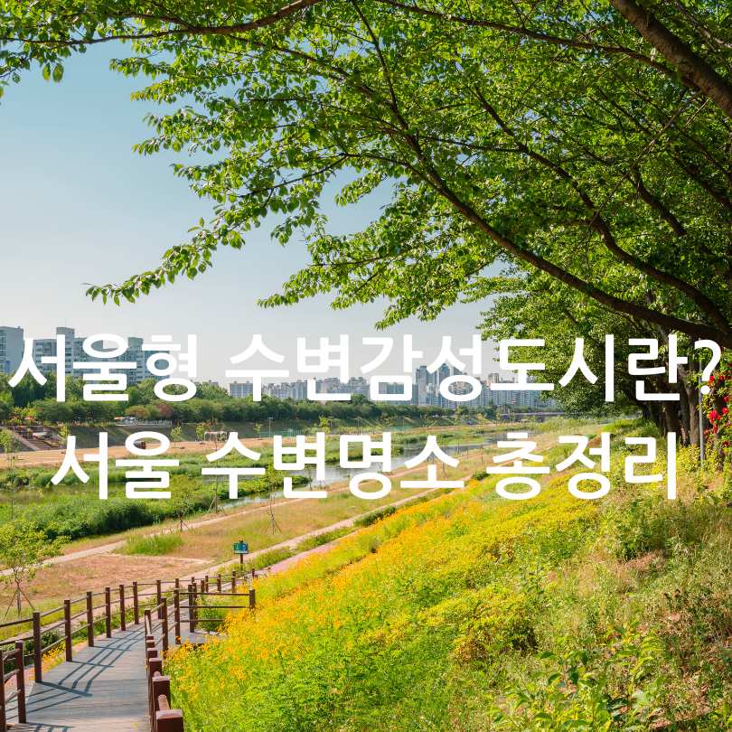서울형 수변감성도시