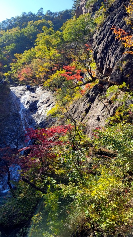 설악산 단풍시기