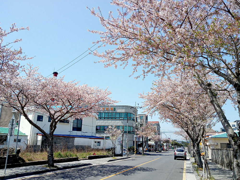 올레2코스: 오조리마을