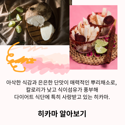 히카마 효능 총정리-다이어트에 좋은 이유부터 먹는 법·보관법까지