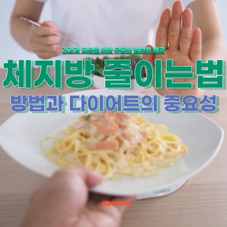 체지방 줄이는법을 효과적으로 알아보세요