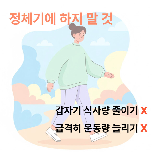 Things You Shouldn't Do During a Diet Stagnation.