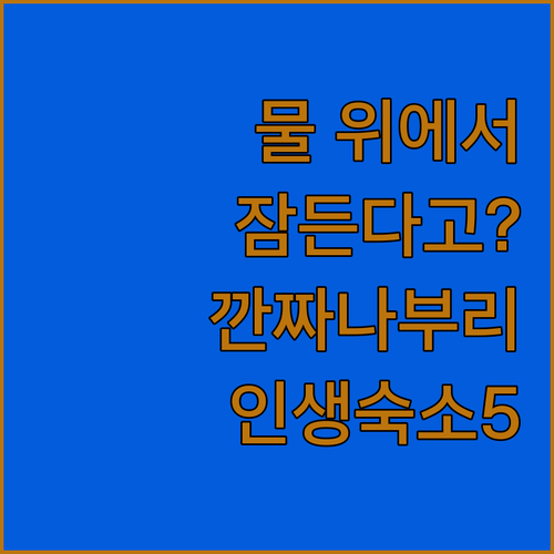 물 위에서 잠드는 마법 같은 하룻밤 ..