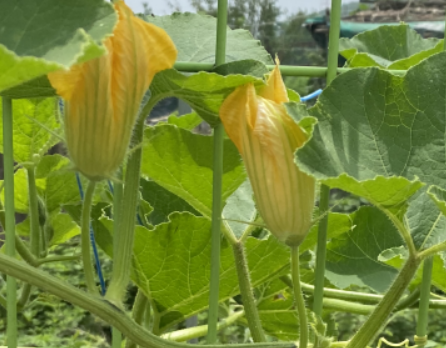 Alt 속성 문제 해결 설명 이미지