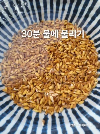 파로 곡물 효능 부작용 먹는 방법_20