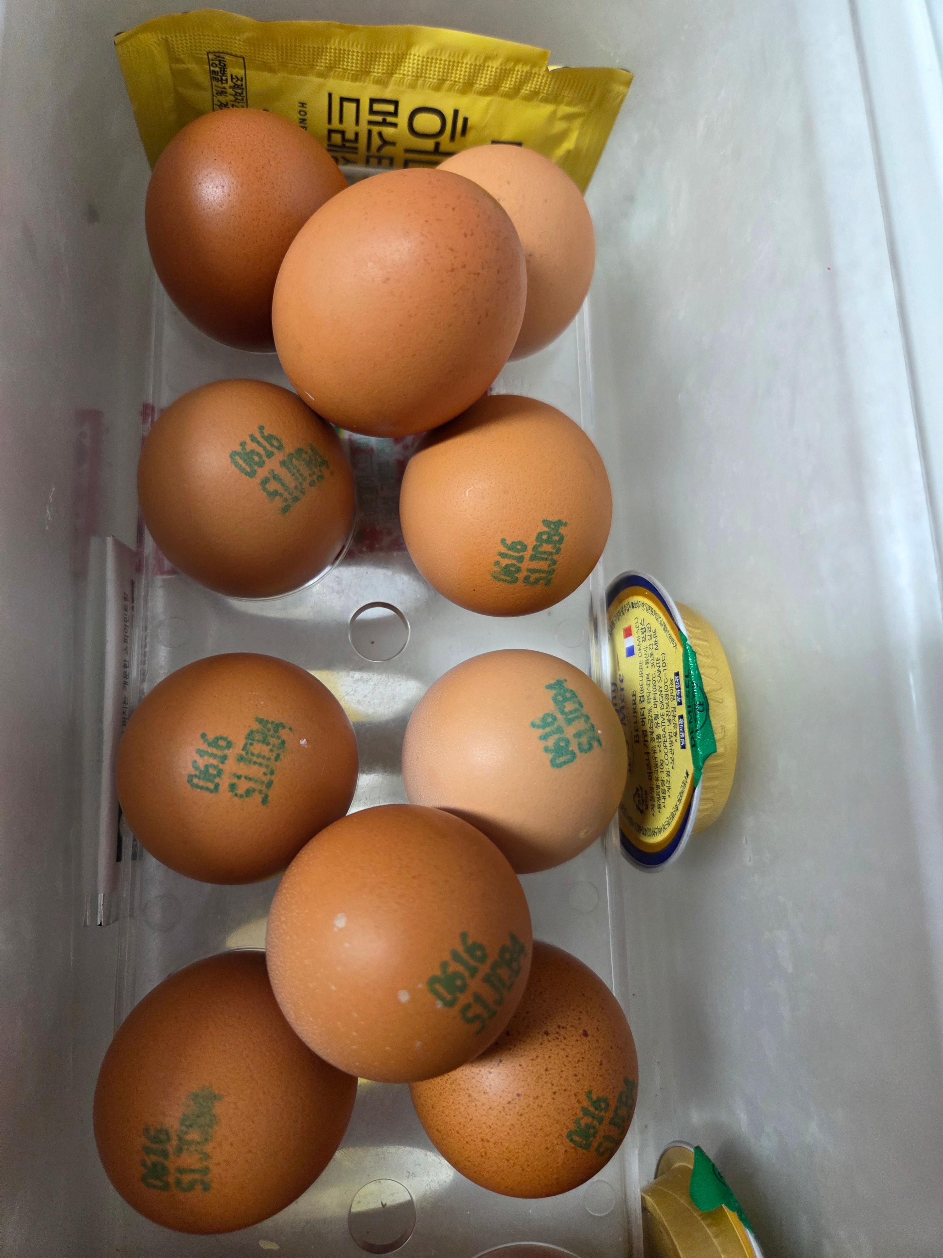 주부9단의 장보기 기술: 1주일치 식재료를 만원으로!