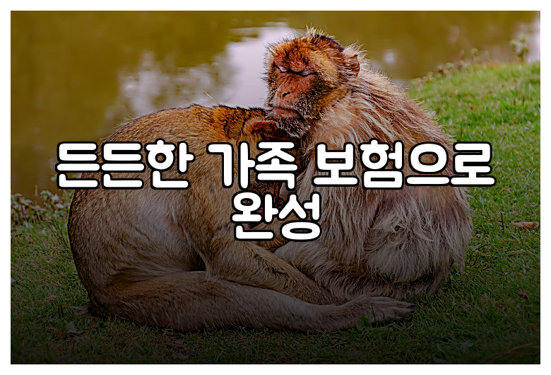 든든한 가족 보험으로 완성