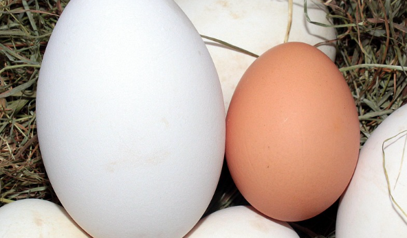 예금과 적금의 진짜 차이점 : 수익률, 유동성, 세금까지 완벽 비교 관련 사진