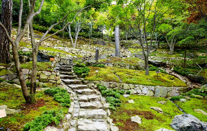 화담숲 수선화 축제