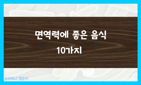 면역력이란 면역력 저하 증상 면역력에 좋은 음식10가지 사진