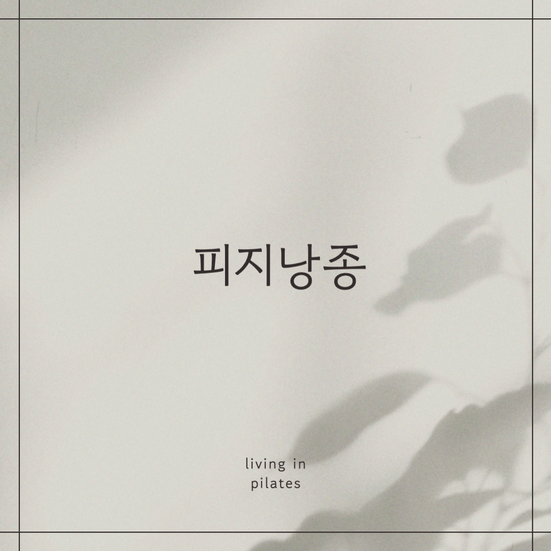 피지낭종 원인 및 증상