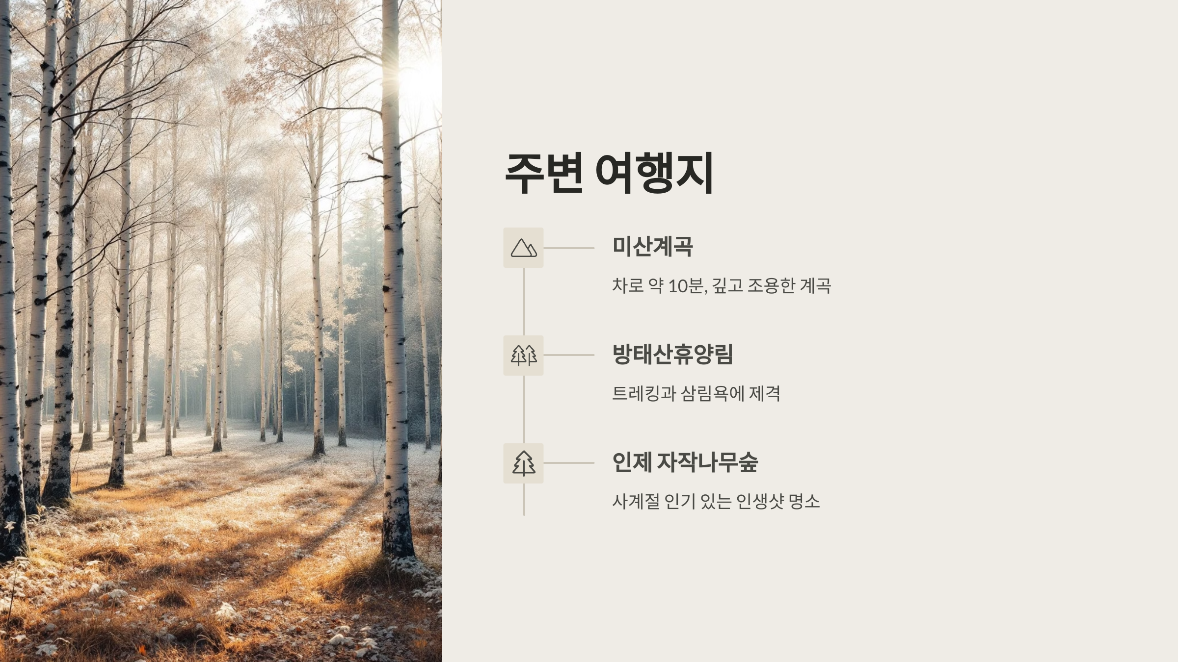 🏕️인제 내린천솔밭힐링캠핑장, 자연 그대로의 쉼터!