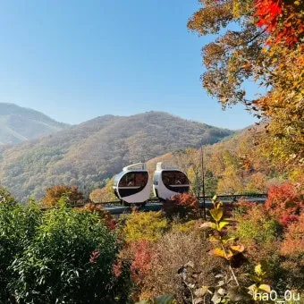 화담숲 입장료 할인 받는 법부터 예매 꿀팁까지는 총정리_11